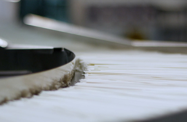 ����Ϊʲô��������